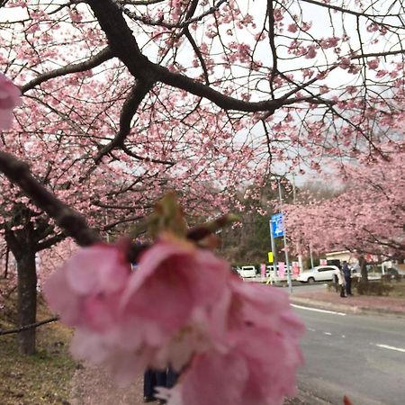 伊豆高原乡村住宅艾凡里酒店 伊东 外观 照片