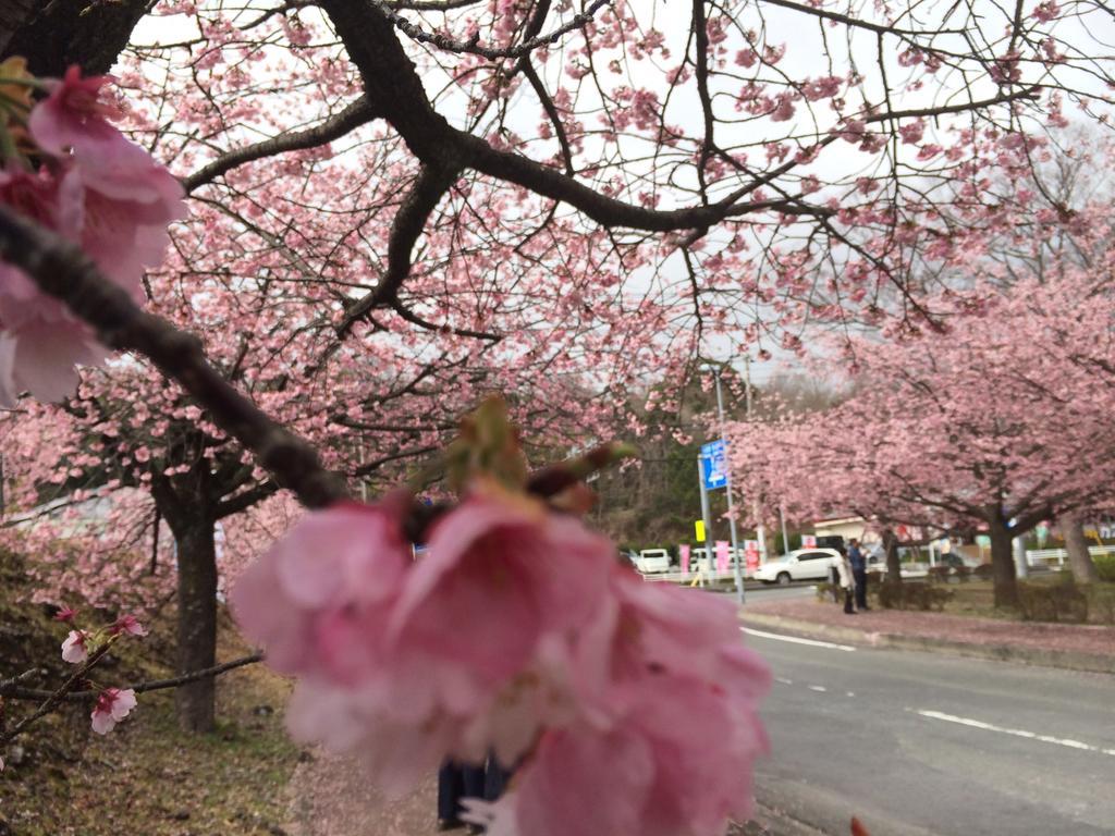伊豆高原乡村住宅艾凡里酒店 伊东 外观 照片